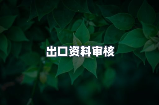 出口资料审核